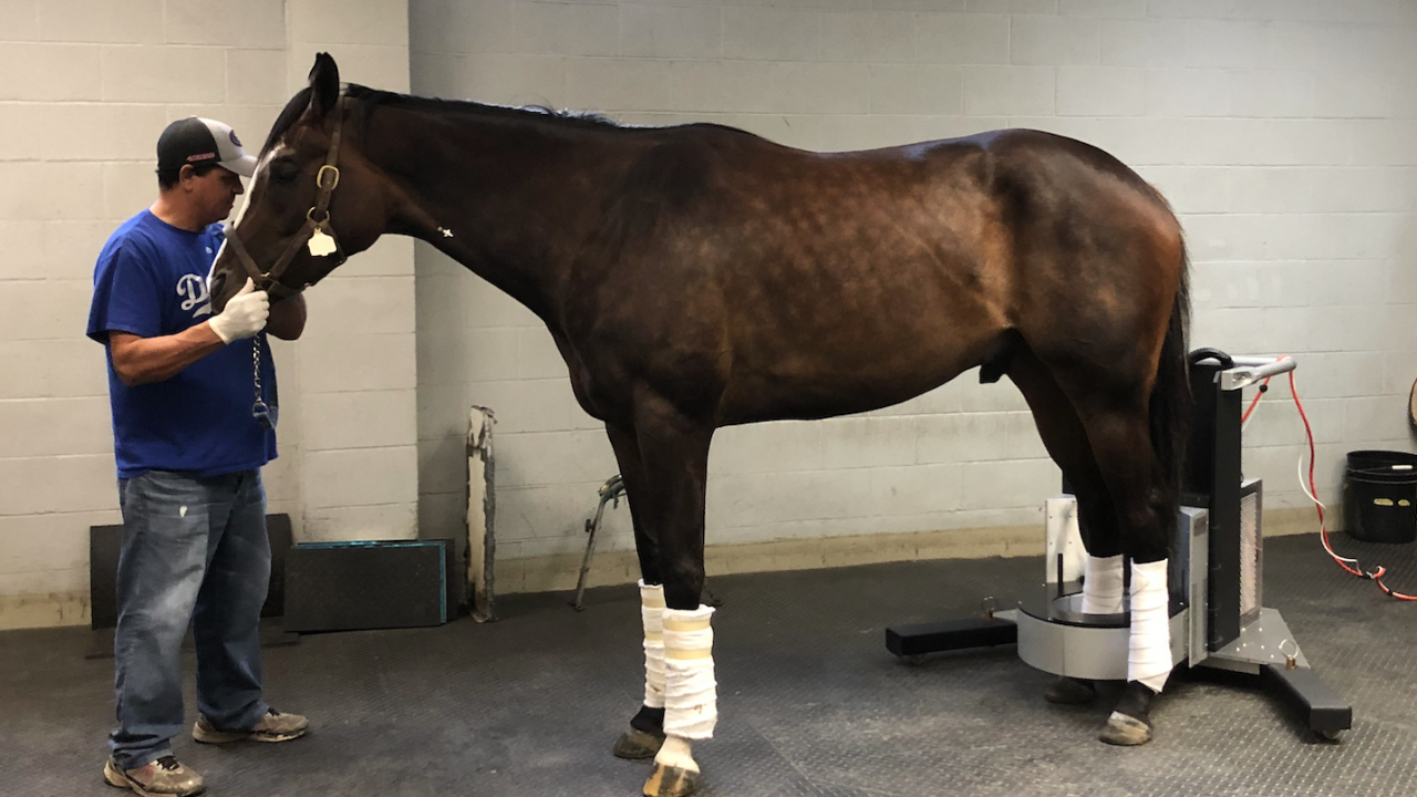 First Year of Equine PET Scans at Santa Anita is Success School